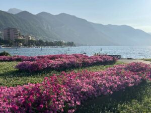 viber_kép_2024-07-23_15-20-05-887