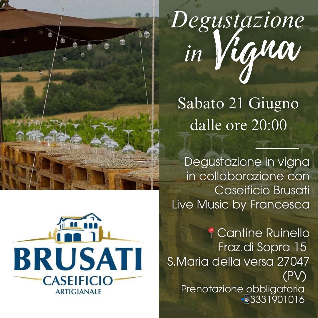 502550900_1895611144598347_7872609475619853289_n